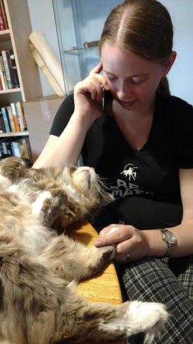 IMG_20170611_180710622